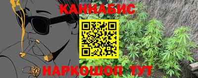 МДПВ Новозыбков