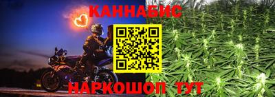 МДПВ Новозыбков