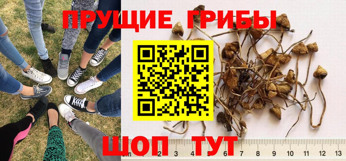 Псилоцибиновые грибы ЛСД  Вход с VPN  Улан-Удэ 